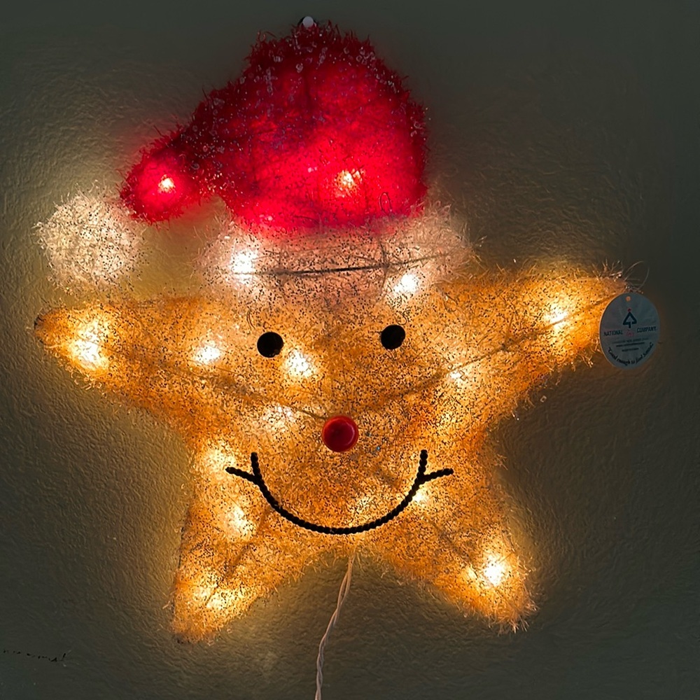 🩷HOST PICK🩷National Tree Company Light Up Hanging Star ⭐️ Holiday Decoration